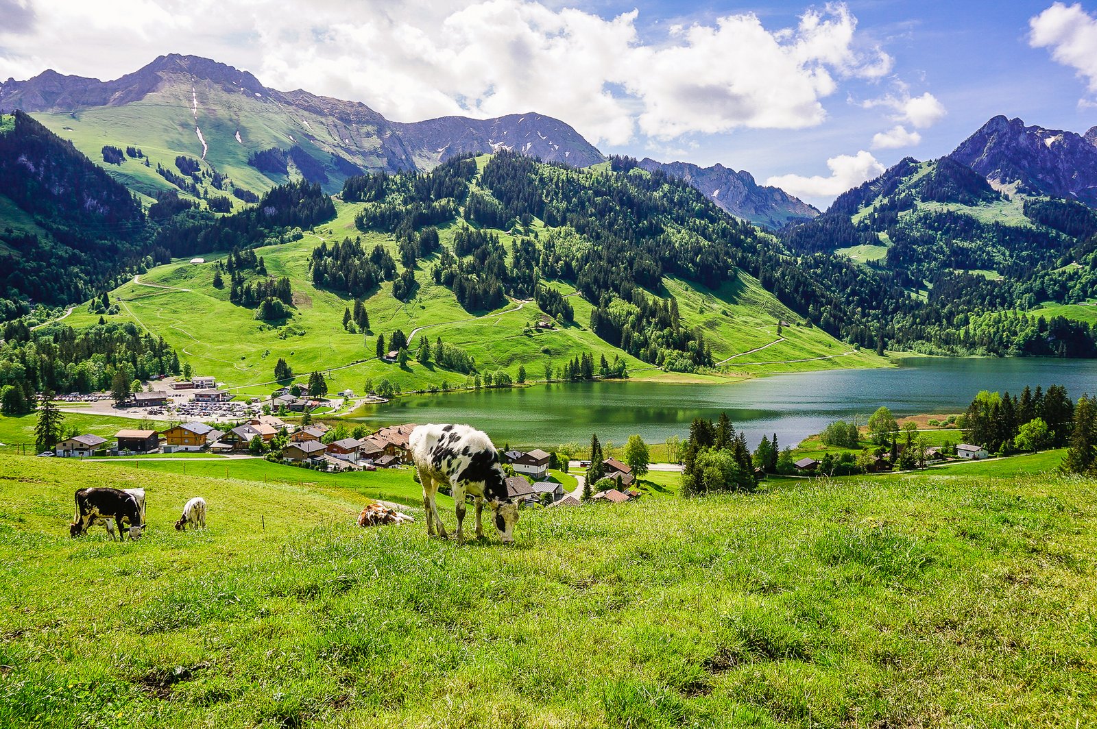 Wandern-mit-Kindern-Schwarzsee-Güger-6-1