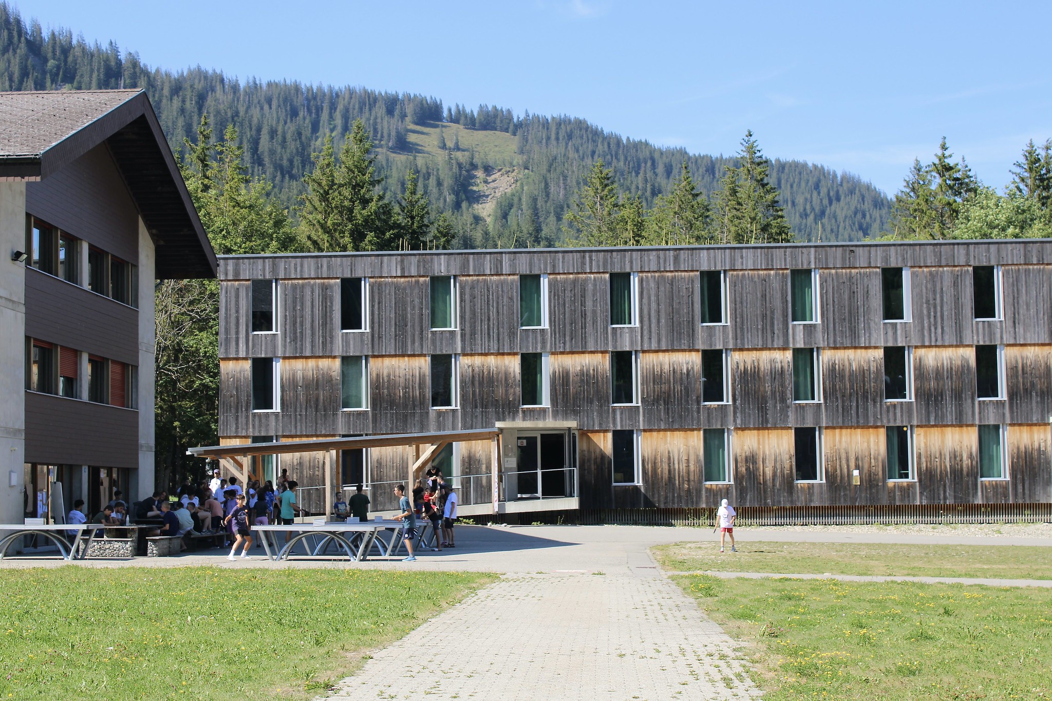 school7
