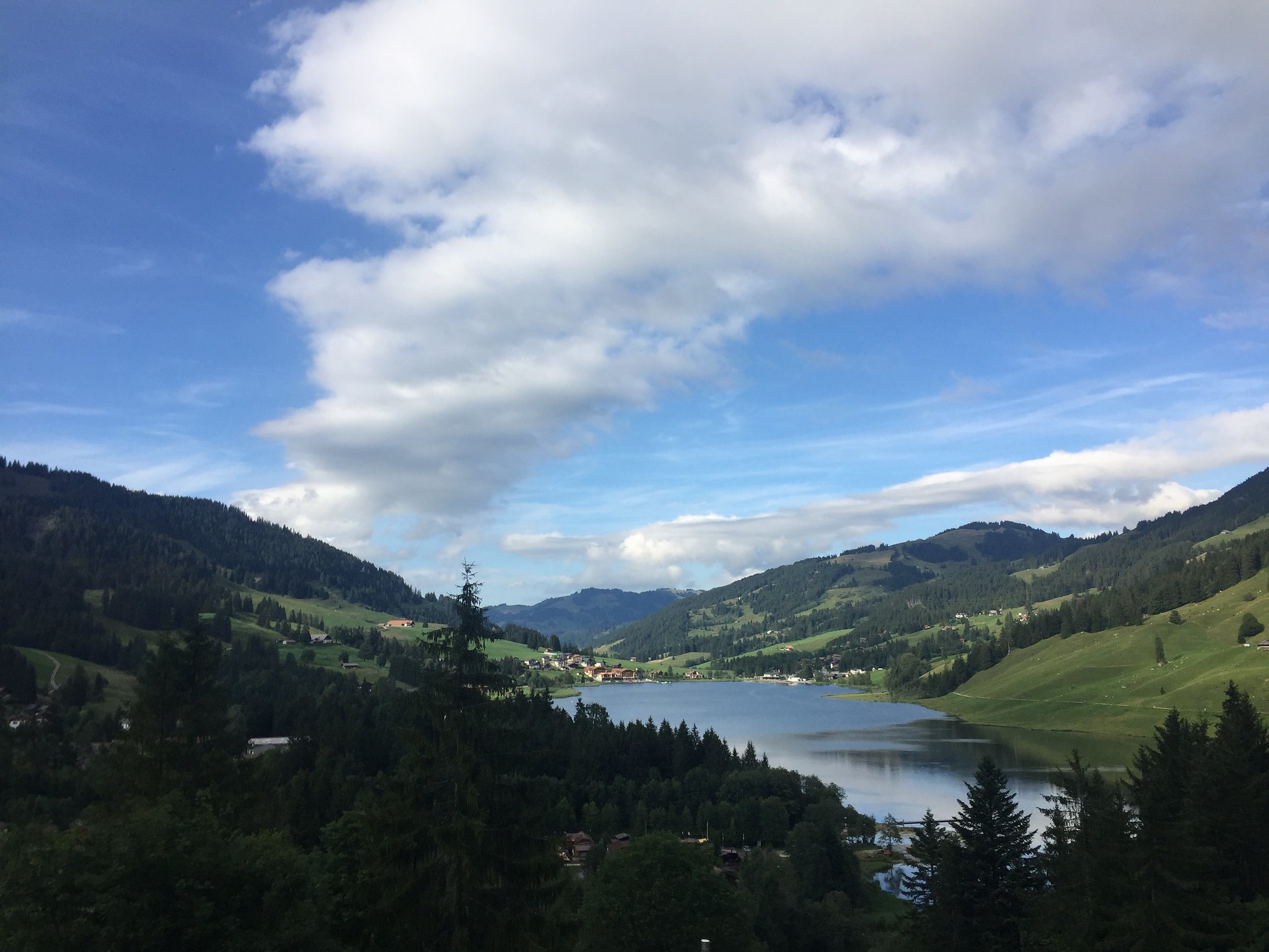 view