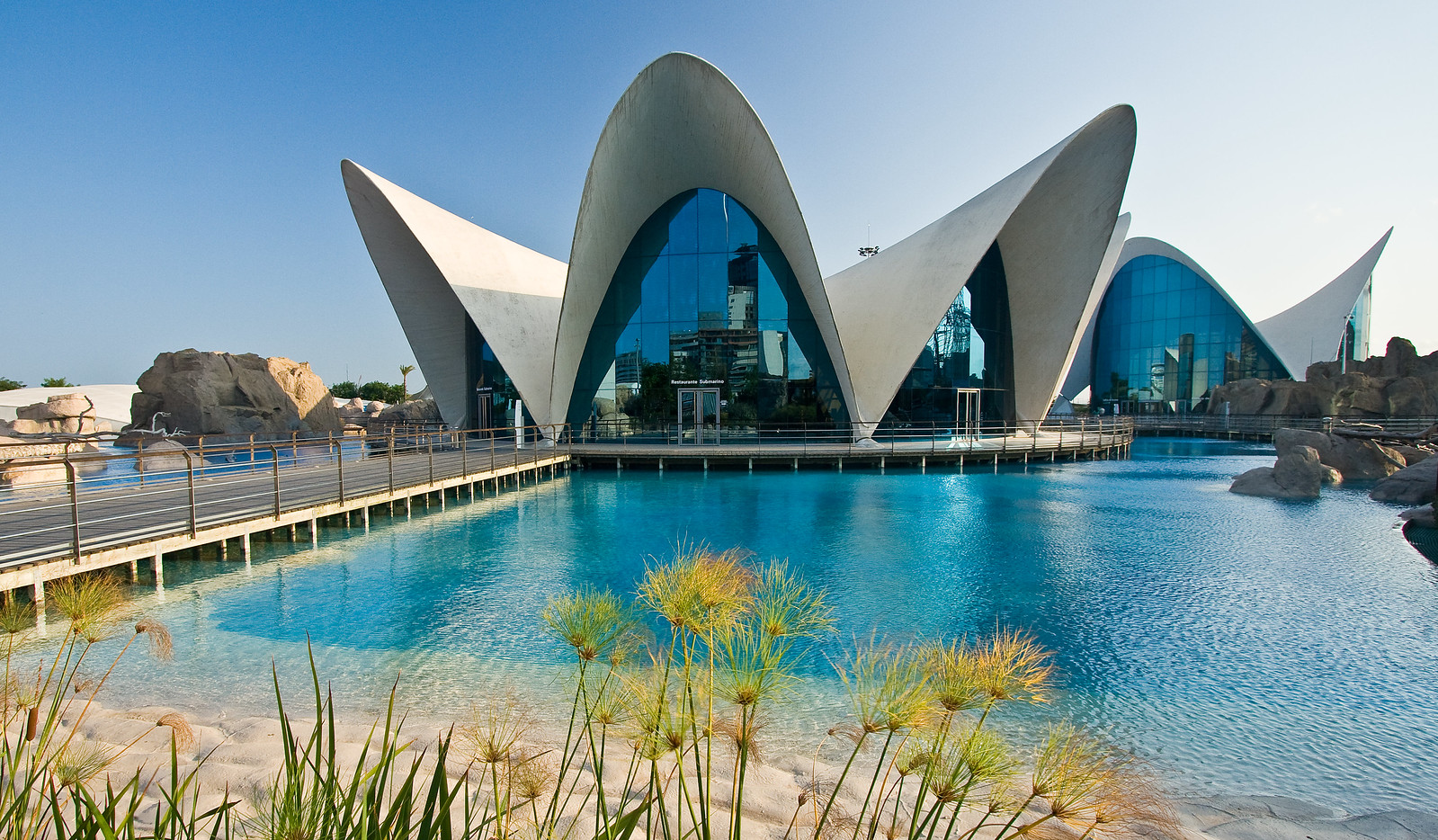Oceanogràfic Aquarium