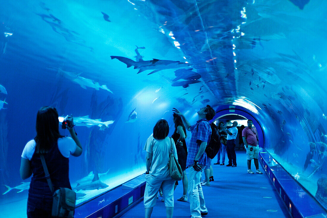 Oceanografic