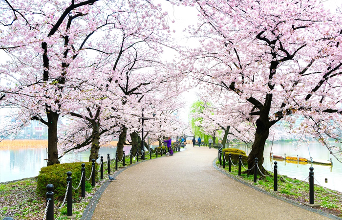 Ueno-Park (1)